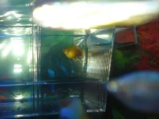 DSC01935_2.webp
