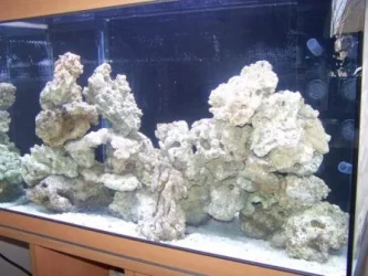 100_5680 web.webp
