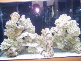 100_5678 web.webp