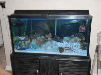 tank.webp