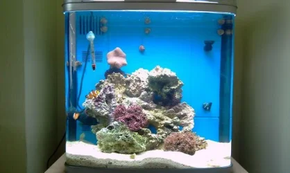 FTS.webp