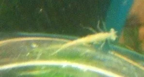 photo10.webp