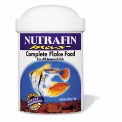 fish food.webp