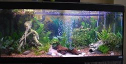 tank1.jpg