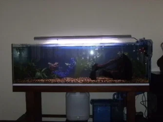 DSCF0970.webp