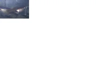 may 25 2010.webp