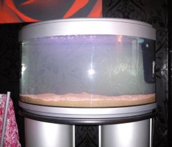 New Tank.jpg New Tank.jpg