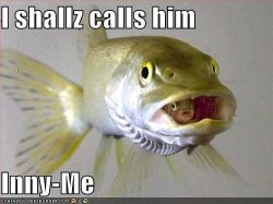 funny-pictures-fish-has-a-funny-name-for-another-fish.jpg