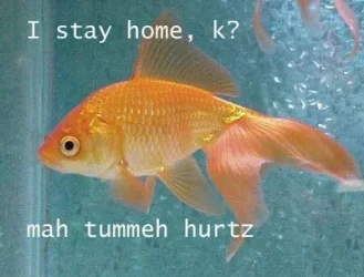 tummeh.webp