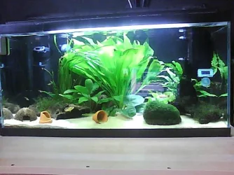 Picture0011.webp