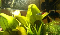 IMAG0028.jpg IMAG0028.jpg