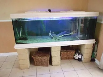 DSCF5577.webp