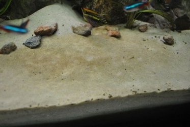 DSC_0572.JPG