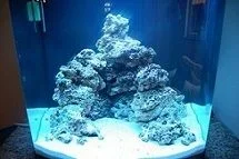 005.webp 005.webp