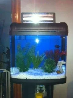 tank.webp