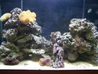 full tank 1 aug.webp