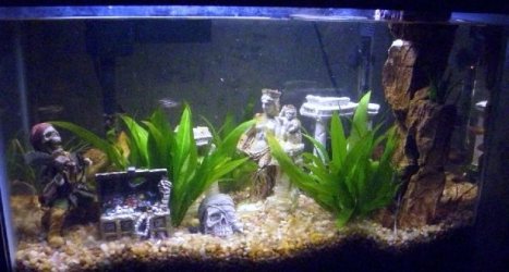 smalltank.jpg smalltank.jpg