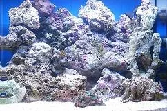 0001.webp