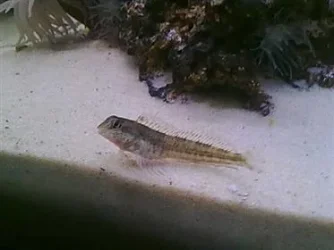 01092010366.webp