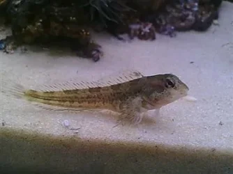 01092010367.webp