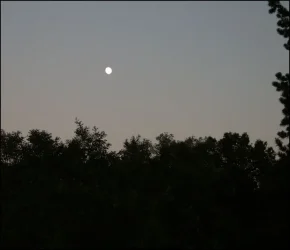 moon.webp