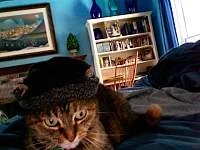 Photo 4_3.webp