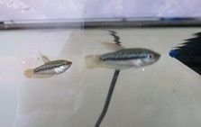 000_0020.JPG
