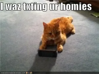 7bbe94ad-bb00-4305-a381-79230760e2ce.webp
