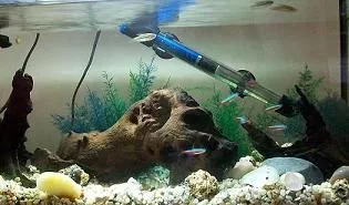 100_0812.webp