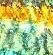 tropicalfish3 crop.webp