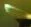 fishy2edit.webp