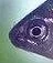 fishprofileedit.webp