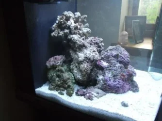 DSCF0293.webp