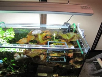 2010-11-03 19-47-52_acv.webp