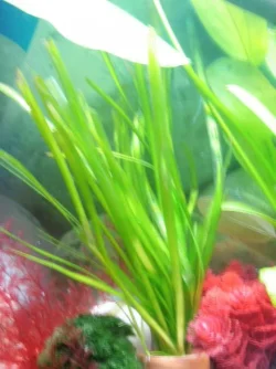 PB050812.webp