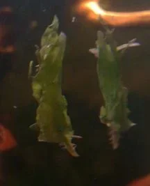 13112010664.webp