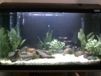 07112010049.jpg 07112010049.jpg