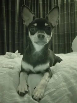 l_3f17b8fc6bf41aee4944ae0dc52832f8.webp