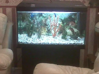 IMG00303-20101126-1943.webp