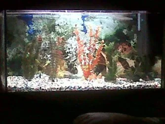 IMG00301-20101126-1942.webp