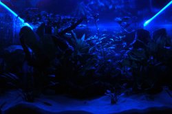 DSC_0318.jpg