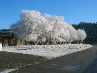 Hard Frost 1.webp