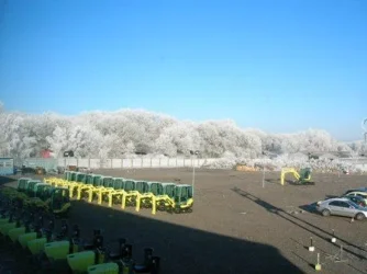 Hard frost 2.webp
