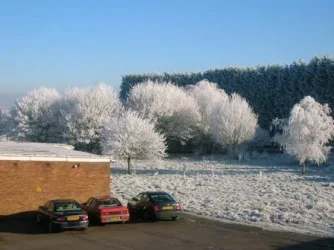 Hard Frost 2.webp