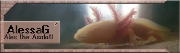 alessagbanner.webp