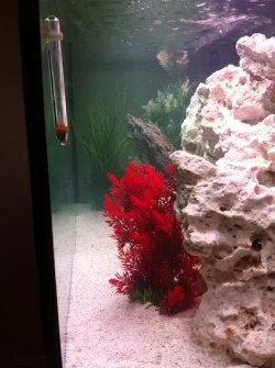 NEW TANK Layout 2.webp