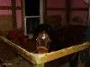 phpubL7NbPM.webp