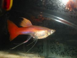 µ÷Õû´óÐ¡ DSC00253.JPG