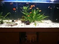 004.webp