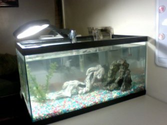 Photo on 2011-01-13 at 19.17.jpg Photo on 2011-01-13 at 19.17.jpg